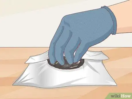 Image titled Find Owl Pellets Step 13