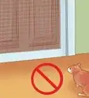 Identify and Treat Warbles in Cats