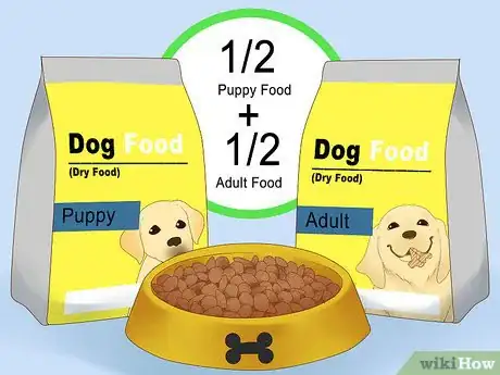 Image titled Make Your German Shepherd Gain Weight Step 2