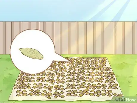 Image titled Grow Cardamom Step 15