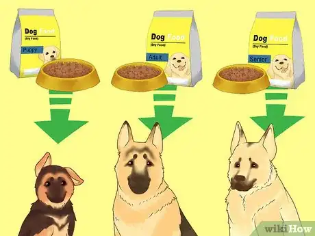 Image titled Make Your German Shepherd Gain Weight Step 9