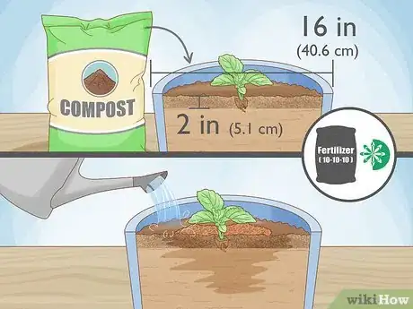 Image titled Grow Foxglove Step 2