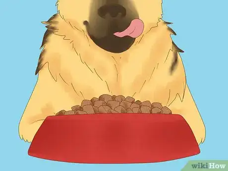 Image titled Make Your German Shepherd Gain Weight Step 5