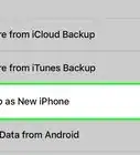 Clear History on an iPhone