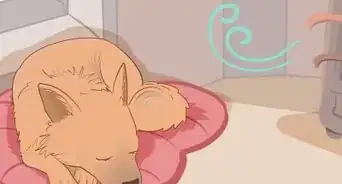 Stop My Dog from Biting when Excited