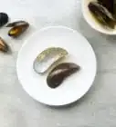 Eat Mussels