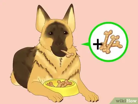 Image titled Make Your German Shepherd Gain Weight Step 6