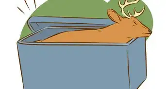 Clean a Deer