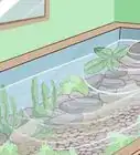 Build an Indoor Pond