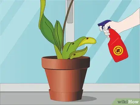 Image titled Care for Orchids Step 12