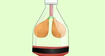Build a Model Lung