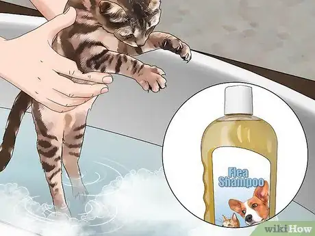 Image titled Get Rid of Fleas in the House Forever Step 5