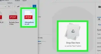 Open PDF Files