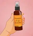 Get Rid of Fruit Flies