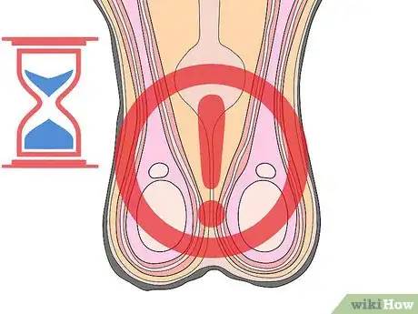 Image titled Castrate a Horse Step 17