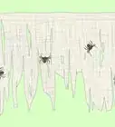 Make a Spider Web