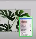 Add Images to a Microsoft Word Document
