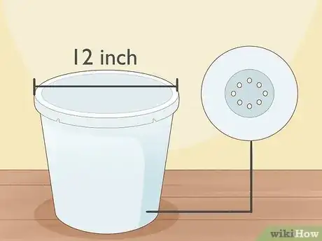 Image titled Grow Calla Lilies Step 1