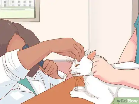 Image titled Treat a Cat with a Stuffy Nose Step 7