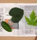 Paint Leaves