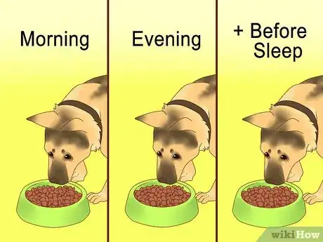 Image titled Make Your German Shepherd Gain Weight Step 4