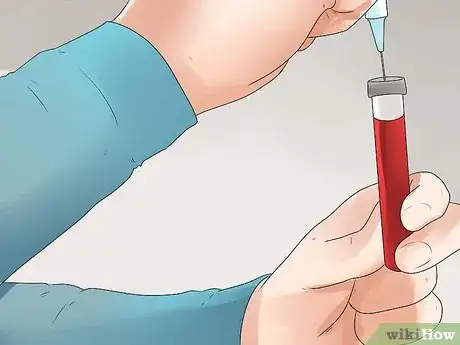 Image titled Approach Whole Blood Transfusions in Horses Step 7