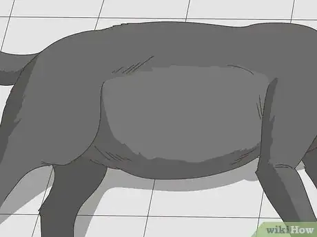 Image titled Spot Signs of Pancreatitis in Dogs Step 5