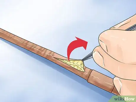 Image titled Dissect a Worm Step 7