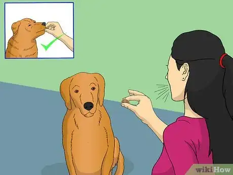Image titled Train Your Dog to Shake Its Head Step 5