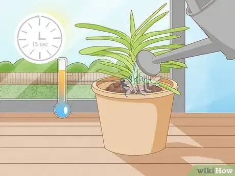 Image titled Grow Vanda Orchids Step 11