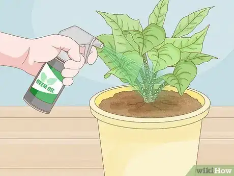 Image titled Control Scale Insects on Indoor Plants Step 5