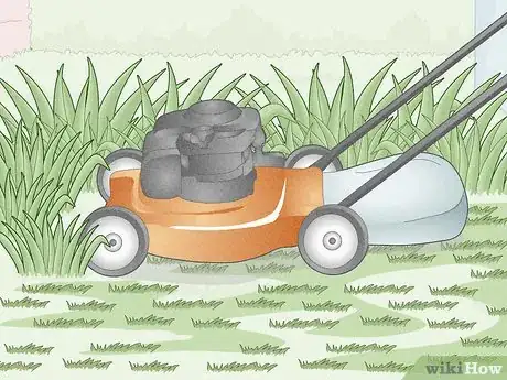Image titled Get Rid of Mosquitoes in Your Yard Step 3