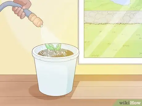 Image titled Grow Calla Lilies Step 5
