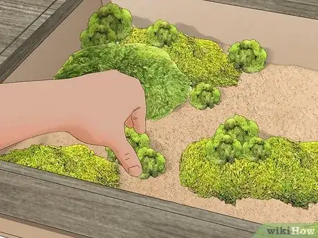 Image titled Make a Moss Table Step 8