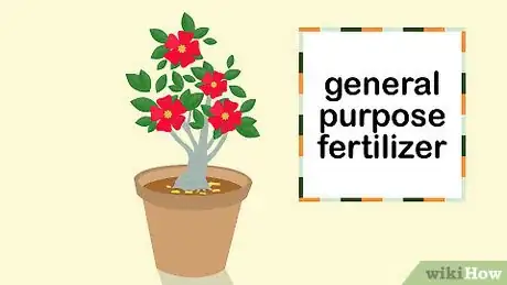 Image titled Grow Adeniums Step 14