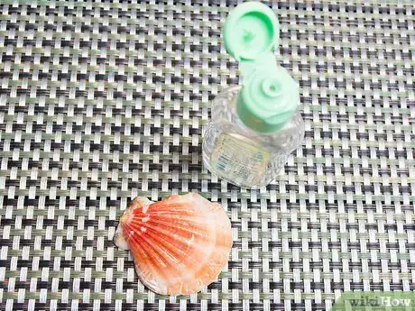 Image titled Clean and Polish Seashells Step 11