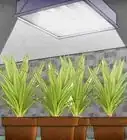 Protect Plants from the Cold