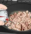 Tell if Ground Beef Has Gone Bad