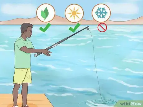 Image titled Fish for Squid Step 6