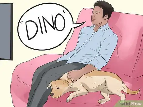 Image titled Name Your New Puppy or Dog Step 13