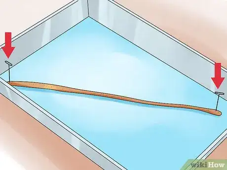 Image titled Dissect a Worm Step 3