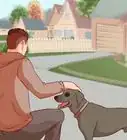 Overcome a Fear of Dogs