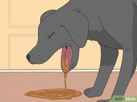 Image titled Spot Signs of Pancreatitis in Dogs Step 2