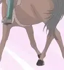 Teach Your Horse to Side Pass