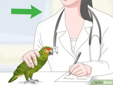 Image titled Feed an Amazon Parrot Step 4