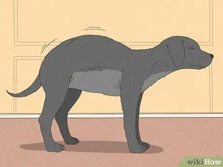 Image titled Spot Signs of Pancreatitis in Dogs Step 1