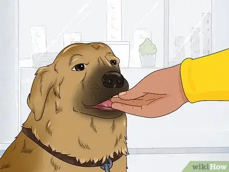 Image titled Keep a Dog Out of the Kitchen Step 6