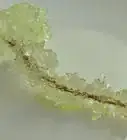 Make a Crystal Garden