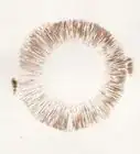 Make a Mushroom Spore Print