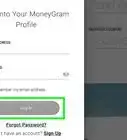 Send Money Online